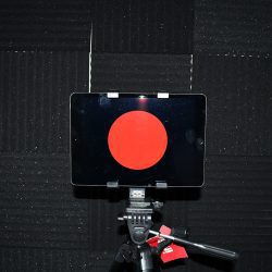 Buy all of the training tools